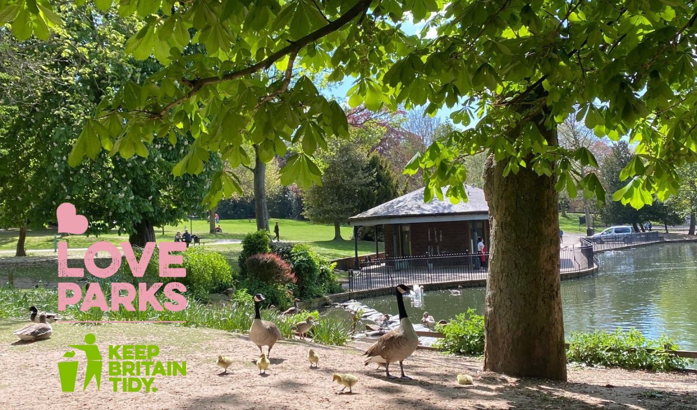 Arnot Hill Park pond with geese. Love Parks Week, Keep Britain Tidy